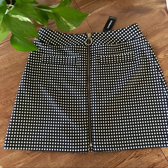 Express Dresses & Skirts - Express zip front a line mini skirt in windowpane